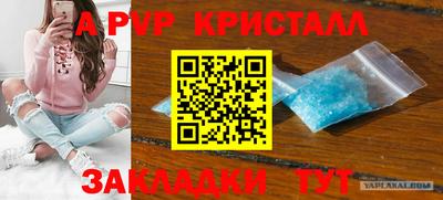 стафф Кинель
