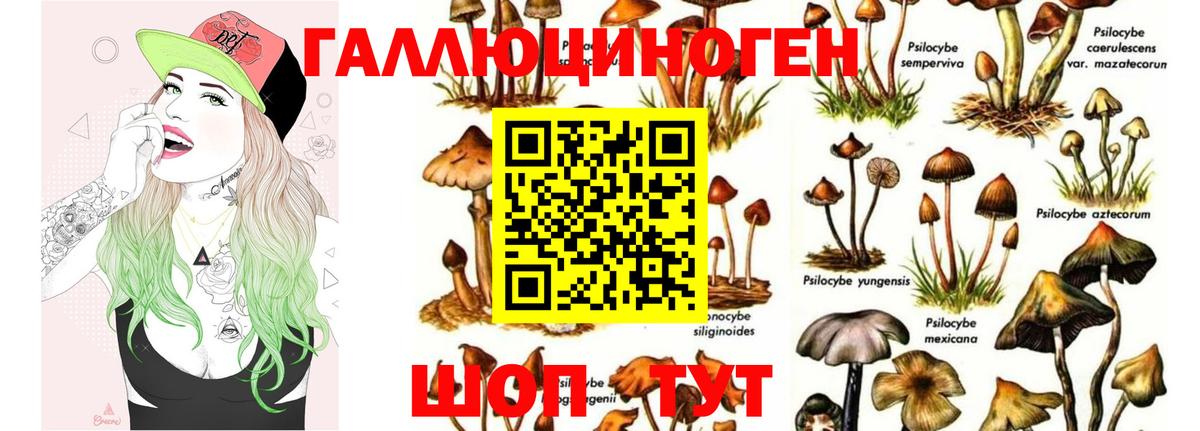Псилоцибиновые грибы MAGIC MUSHROOMS  Вход с VPN  Псилоцибиновые грибы MAGIC MUSHROOMS  Кувандык 