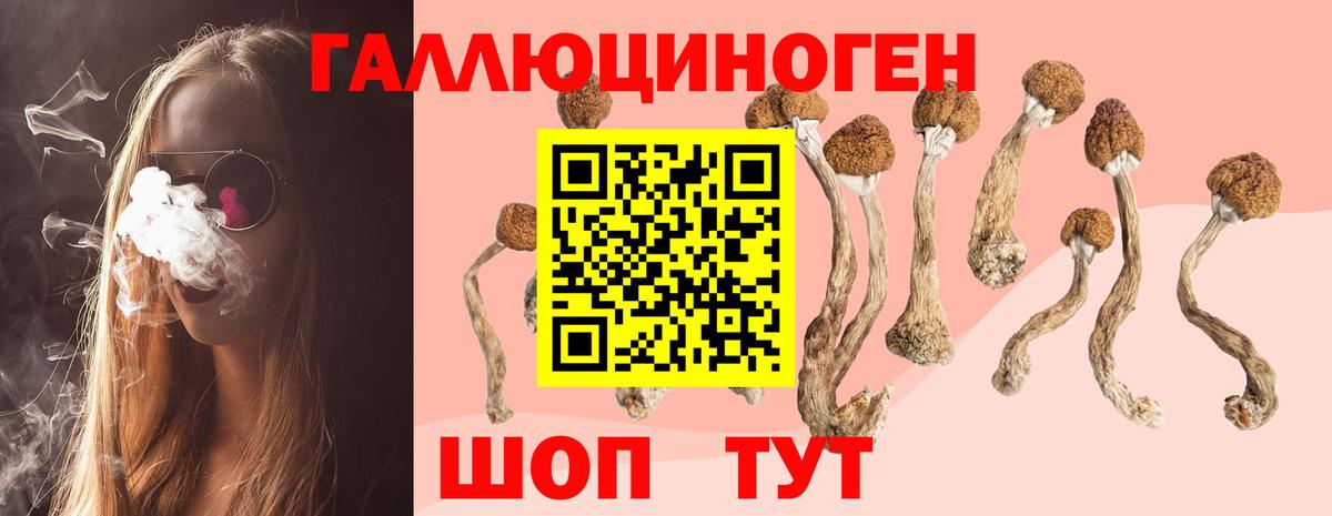 Псилоцибиновые грибы MAGIC MUSHROOMS Кувандык